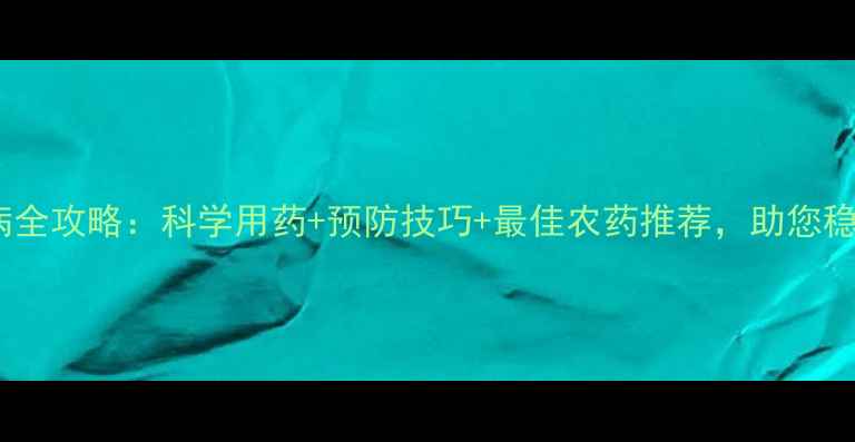 图片 小麦锈病全攻略：科学用药+预防技巧+最佳农药推荐，助您稳产增收2