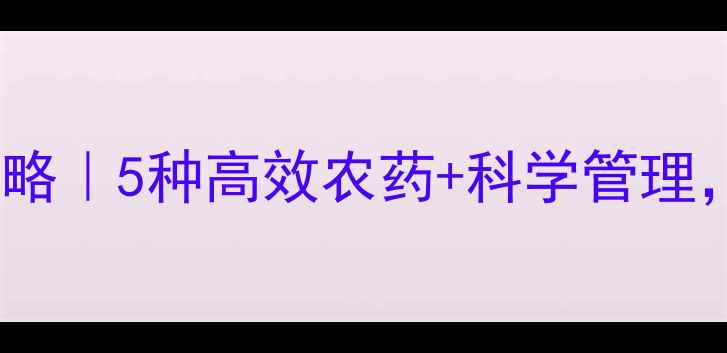 图片 小麦锈病防治全攻略｜5种高效农药+科学管理，助你颗粒归仓！1