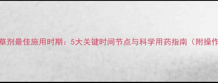 图片 小麦除草剂最佳施用时期：5大关键时间节点与科学用药指南（附操作细节）