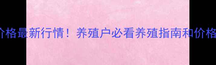 图片 山东817鸡价格最新行情！养殖户必看养殖指南和价格走势分析🐔