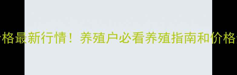 图片 山东817鸡价格最新行情！养殖户必看养殖指南和价格走势分析🐔1
