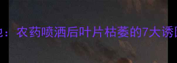 图片 山东寿光蔬菜基地：农药喷洒后叶片枯萎的7大诱因与专业补救指南