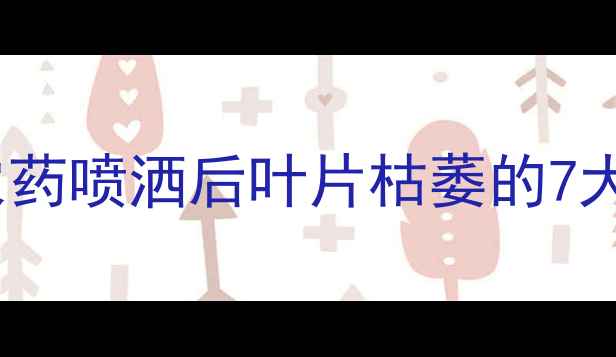 图片 山东寿光蔬菜基地：农药喷洒后叶片枯萎的7大诱因与专业补救指南1