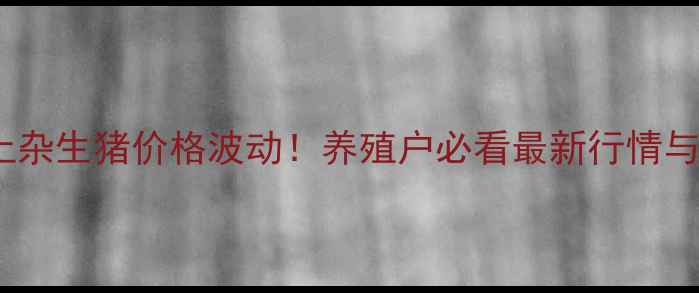 图片 山东滨州土杂生猪价格波动！养殖户必看最新行情与养殖指南2