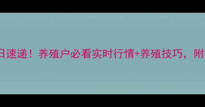 图片 山东聊城生猪价格今日速递！养殖户必看实时行情+养殖技巧，附最新价格表（附图）1