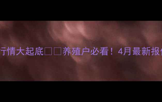 图片 山东肉食鸡价格行情大起底🐔💰养殖户必看！4月最新报价+成本控制攻略