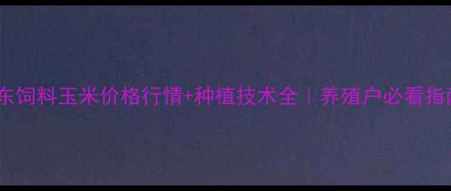 图片 山东饲料玉米价格行情+种植技术全｜养殖户必看指南1