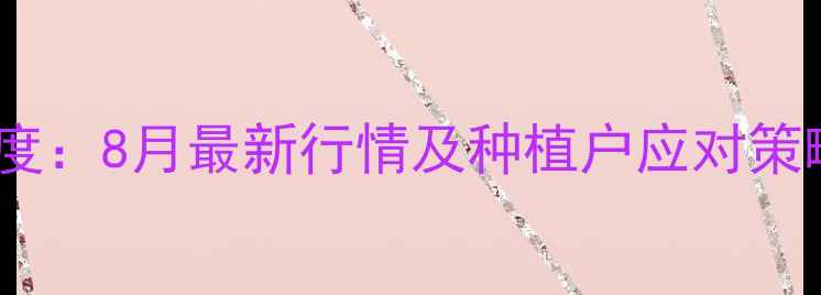 图片 广东玉米价格波动深度：8月最新行情及种植户应对策略（附区域价格表）1