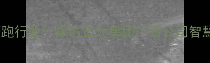 图片 广西最大饲料企业如何领跑行业？探访正大集团广西公司智慧养殖与可持续发展实践2