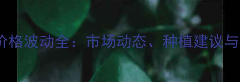 图片 廊坊玉米价格波动全：市场动态、种植建议与未来趋势1