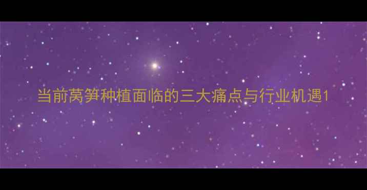 图片 当前莴笋种植面临的三大痛点与行业机遇1