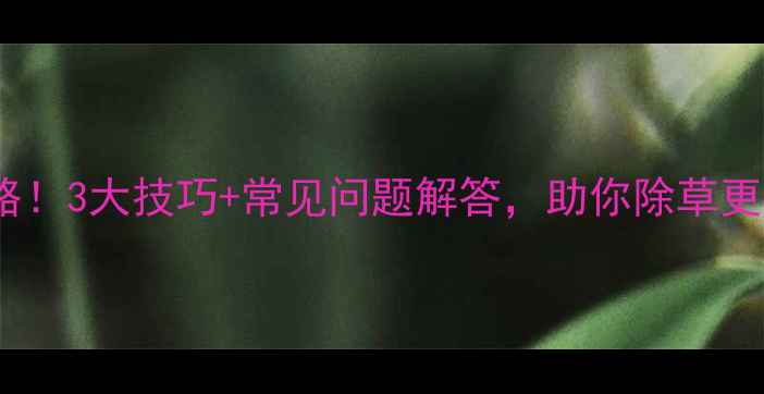 图片 彪马除草剂使用全攻略！3大技巧+常见问题解答，助你除草更高效（附真实案例）2