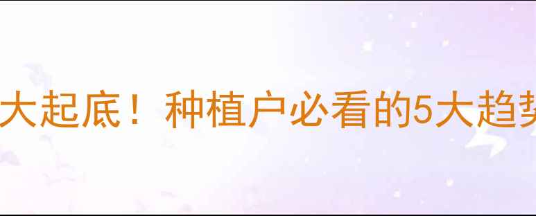 图片 承德玉米收购价大起底！种植户必看的5大趋势与避坑指南🌾1