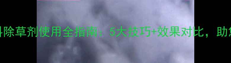 图片 敌稗灵斯科除草剂使用全指南：5大技巧+效果对比，助您高效控草
