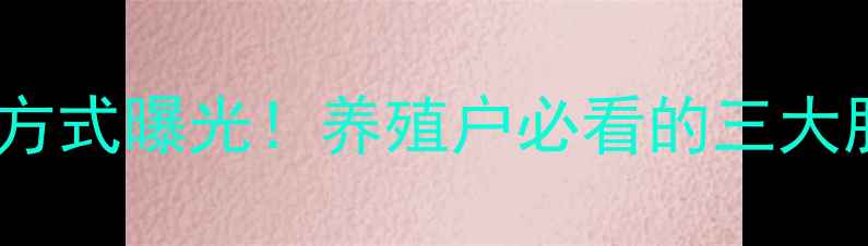 图片 新乡大北农饲料联系方式曝光！养殖户必看的三大服务优势与联系方式1