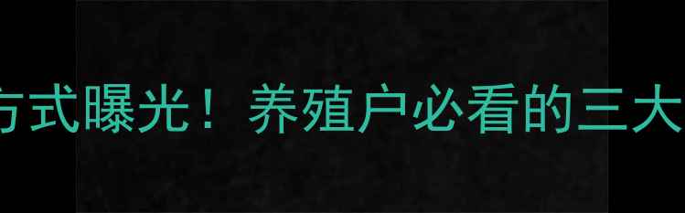 图片 新乡大北农饲料联系方式曝光！养殖户必看的三大服务优势与联系方式2