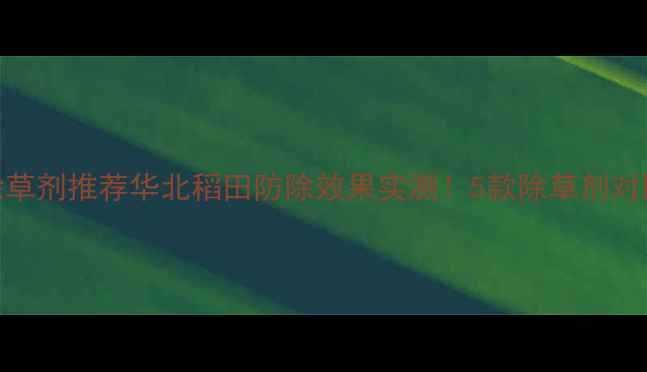 图片 日本看麦娘除草剂推荐华北稻田防除效果实测！5款除草剂对比+使用技巧1