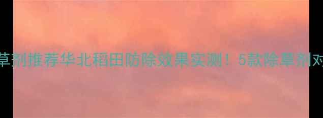 图片 日本看麦娘除草剂推荐华北稻田防除效果实测！5款除草剂对比+使用技巧2