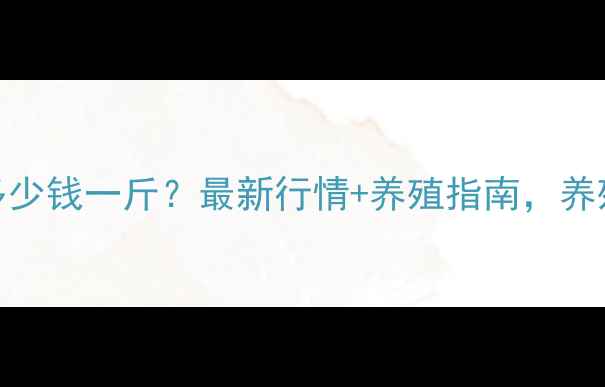 图片 旱鸭价格多少钱一斤？最新行情+养殖指南，养殖户必看！