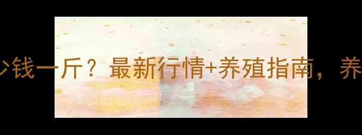 图片 旱鸭价格多少钱一斤？最新行情+养殖指南，养殖户必看！1