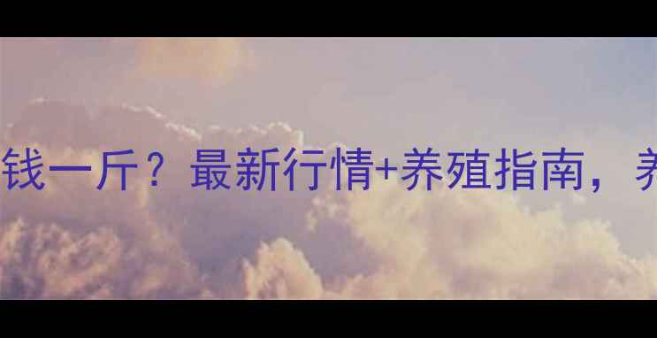 图片 旱鸭价格多少钱一斤？最新行情+养殖指南，养殖户必看！2