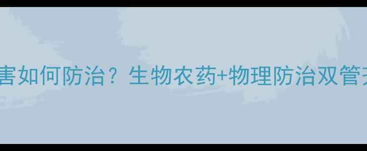 图片 最新技术！青菜虫害如何防治？生物农药+物理防治双管齐下，效果翻倍！1