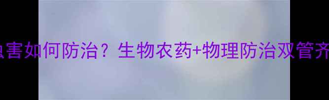 图片 最新技术！青菜虫害如何防治？生物农药+物理防治双管齐下，效果翻倍！2