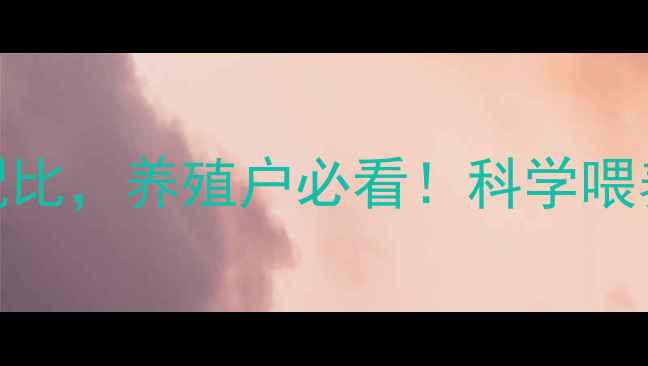 图片 最新版：精气神猪饲料配方与营养配比，养殖户必看！科学喂养提升猪只生长性能的四大核心要素