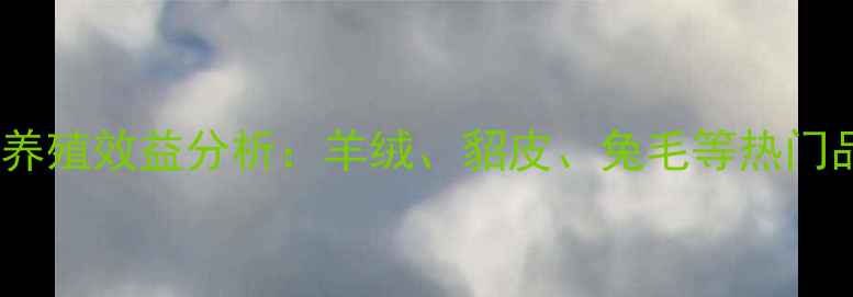 图片 最新皮毛价格排行及养殖效益分析：羊绒、貂皮、兔毛等热门品种养殖户必看指南1