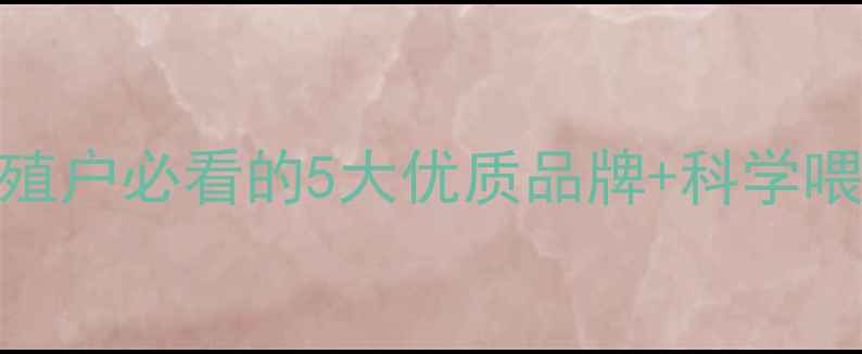 图片 最新鸭饲料推荐排行！养殖户必看的5大优质品牌+科学喂养指南，助你效益翻倍！