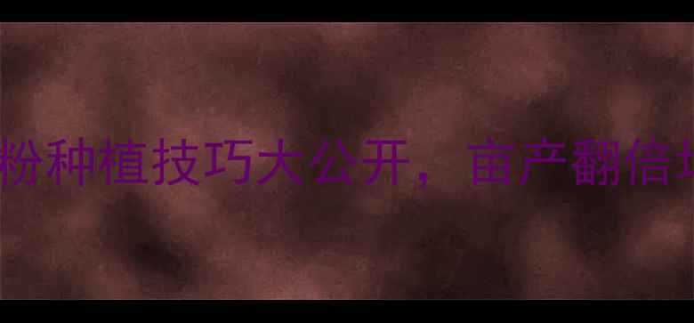 图片 最火！农药壮根粉种植技巧大公开，亩产翻倍增收指南！🌱💰1