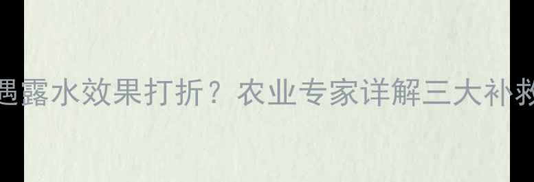 图片 杀菌农药施用后遇露水效果打折？农业专家详解三大补救措施与预防方案