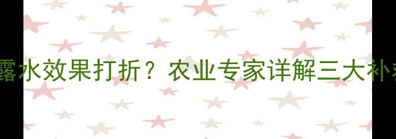 图片 杀菌农药施用后遇露水效果打折？农业专家详解三大补救措施与预防方案2