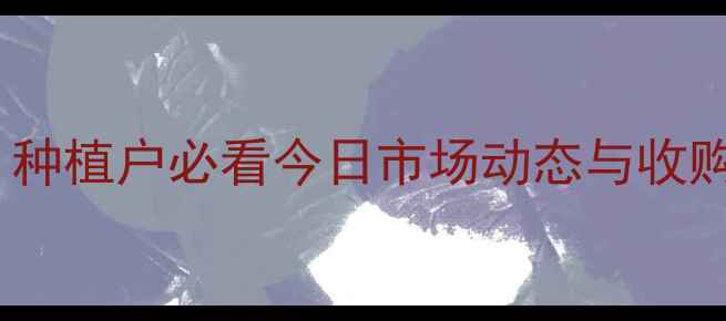 图片 杞县鲜蒜价格行情更新！种植户必看今日市场动态与收购价参考（附种植技巧）2