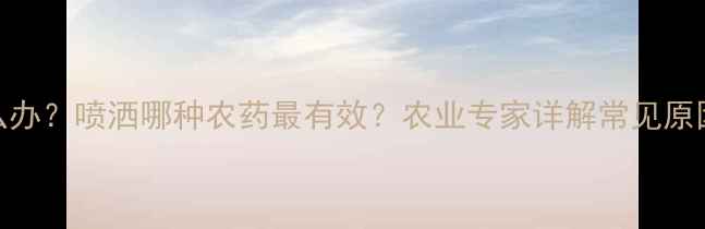 图片 树苗枯萎怎么办？喷洒哪种农药最有效？农业专家详解常见原因及防治方法