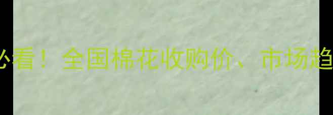 图片 棉花价格波动全：种植户必看！全国棉花收购价、市场趋势、政策影响及种植建议2