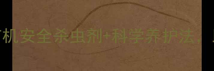 图片 樱桃树虫害防治指南有机安全杀虫剂+科学养护法，助你收获满园红宝石✨