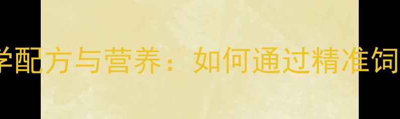 图片 母牛浓缩饲料科学配方与营养：如何通过精准饲喂提升养殖效益2