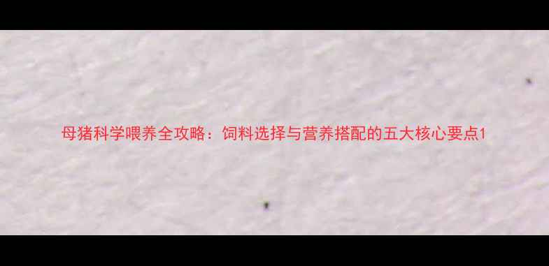 图片 母猪科学喂养全攻略：饲料选择与营养搭配的五大核心要点1