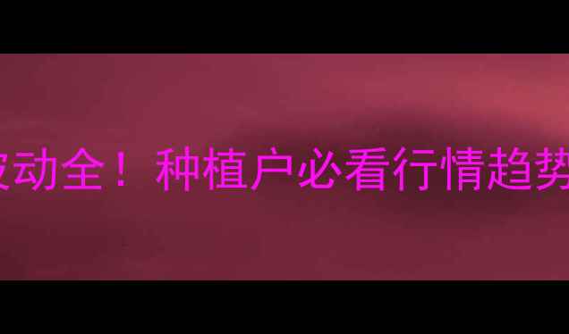 图片 水稻价格波动全！种植户必看行情趋势+增收技巧