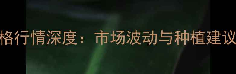 图片 水稻价格行情深度：市场波动与种植建议全指南