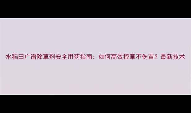 图片 水稻田广谱除草剂安全用药指南：如何高效控草不伤苗？最新技术