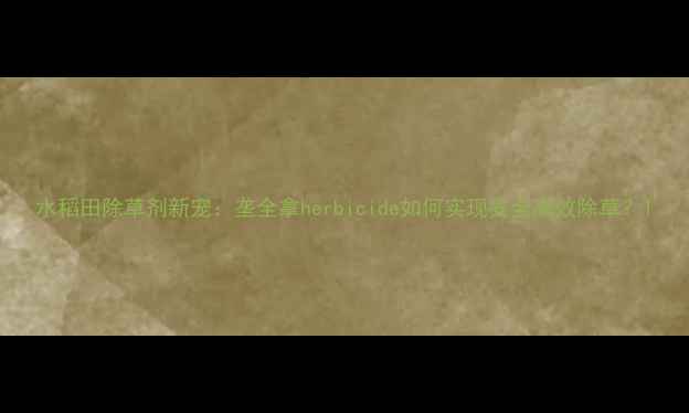 图片 水稻田除草剂新宠：垄全拿herbicide如何实现安全高效除草？1