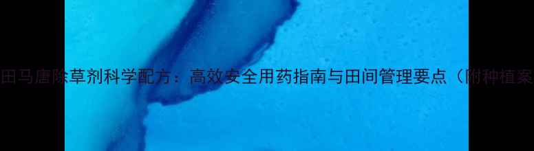 图片 水稻田马唐除草剂科学配方：高效安全用药指南与田间管理要点（附种植案例）