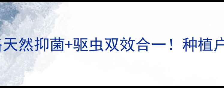图片 水竹叶农药使用全攻略天然抑菌+驱虫双效合一！种植户必看病虫害防治指南1