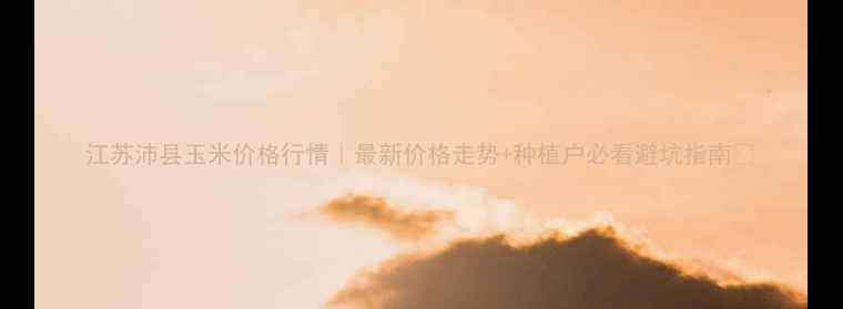 图片 江苏沛县玉米价格行情｜最新价格走势+种植户必看避坑指南🌾