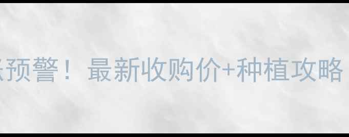 图片 汾阳玉米价格暴涨预警！最新收购价+种植攻略（附成本收益表）