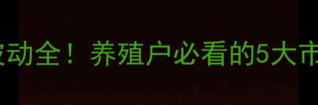 图片 沛县肉杂鸡价格波动全！养殖户必看的5大市场趋势+行情预测