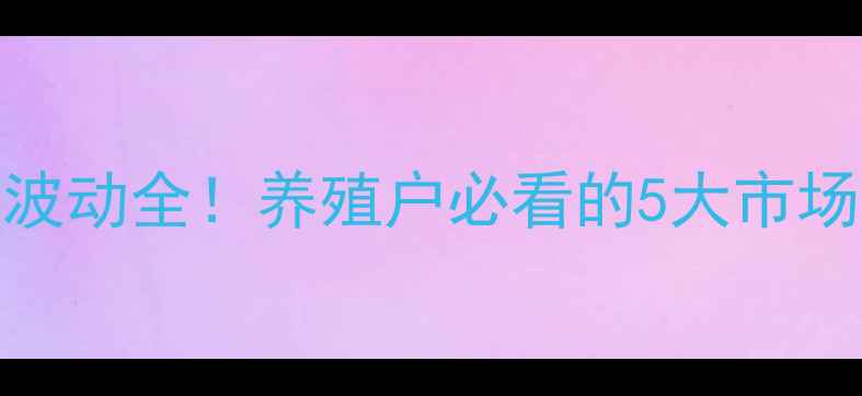 图片 沛县肉杂鸡价格波动全！养殖户必看的5大市场趋势+行情预测2