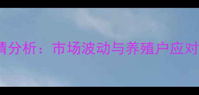 图片 沛县鸡蛋价格今日行情分析：市场波动与养殖户应对策略（附深度解读）2